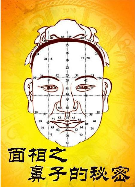 男人鼻子面相|男人面相图解,破解鼻子的秘密